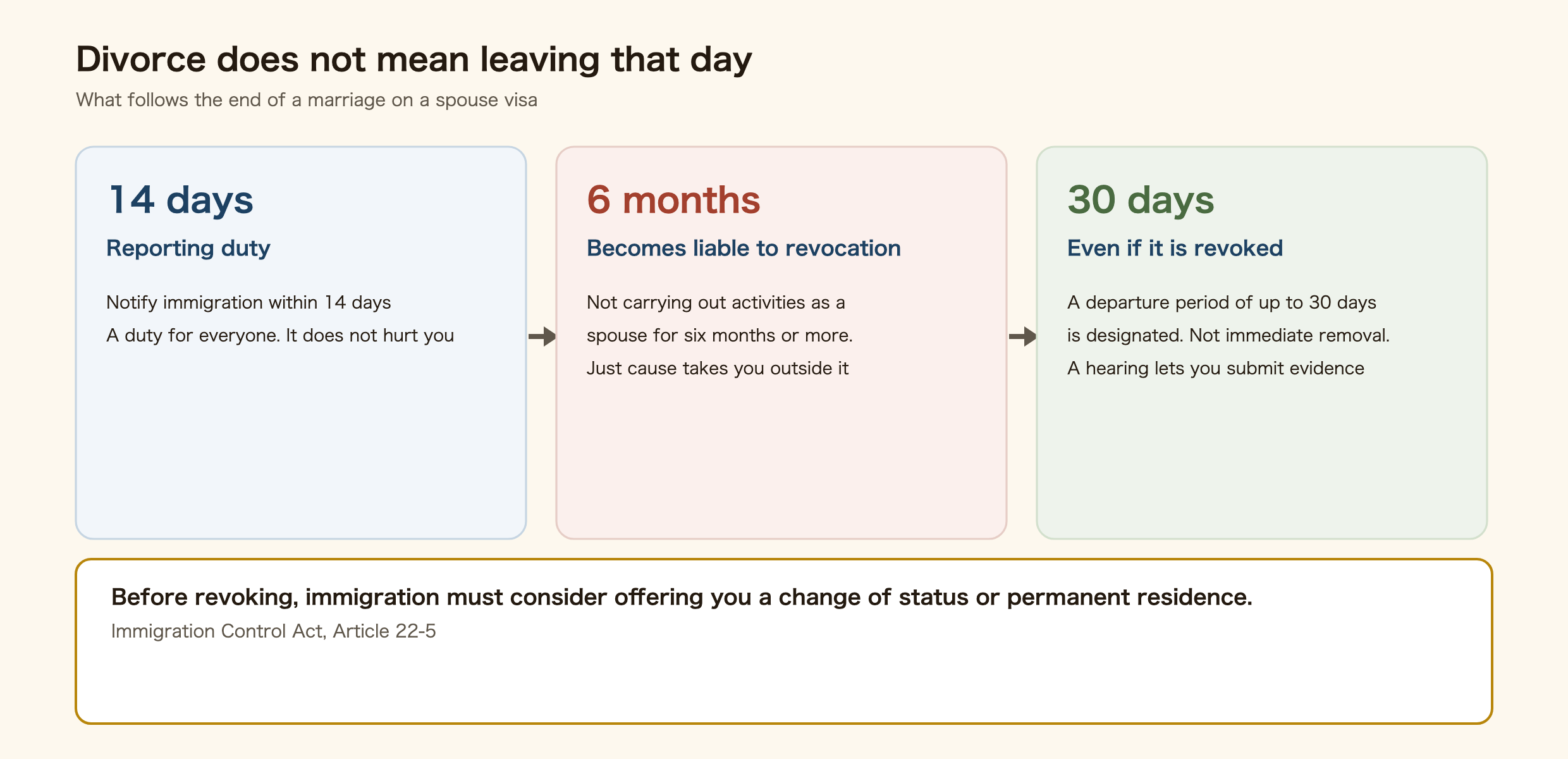 Diagram of what happens to a Japanese spouse visa after divorce. Reporting is required within 14 days of divorce or bereavement. Not carrying out activities as a spouse for six months or more makes the status liable to revocation, but just cause prevents it. Before revoking, immigration must consider giving the chance to apply for a change of status or permanent residence, and even if revoked a departure period of up to 30 days is designated.