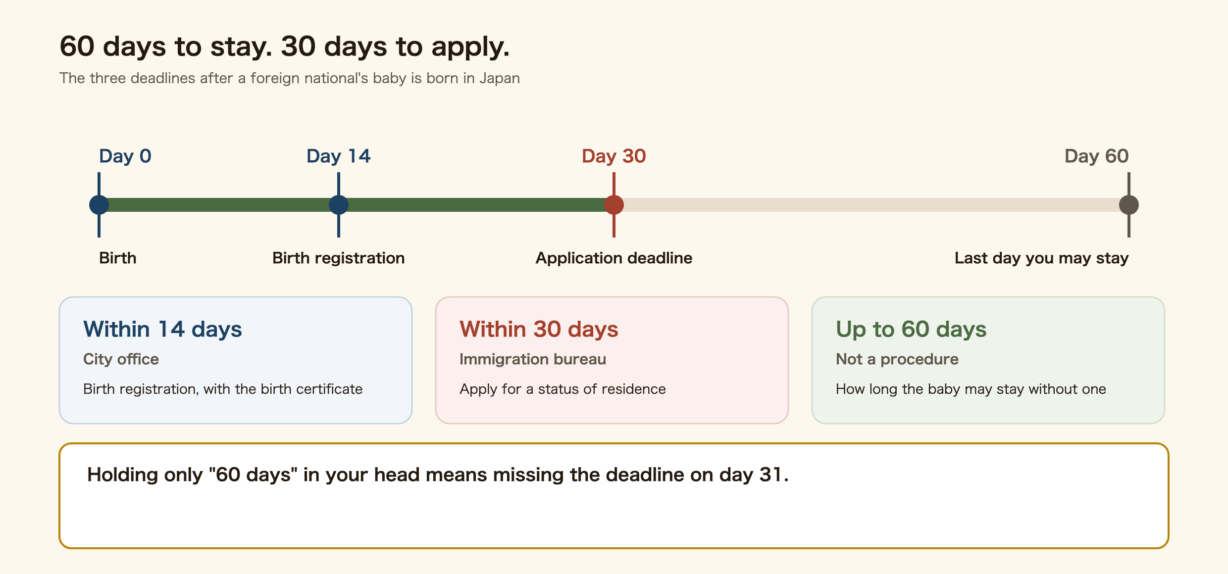 Diagram of the three deadlines after a foreign national's baby is born in Japan. Within 14 days the birth is registered at the city office, within 30 days the application for a status of residence is filed with immigration, and up to 60 days the baby may remain without a status of residence. Because the stay is 60 days but the application deadline is 30, remembering only the 60 is the common mistake.