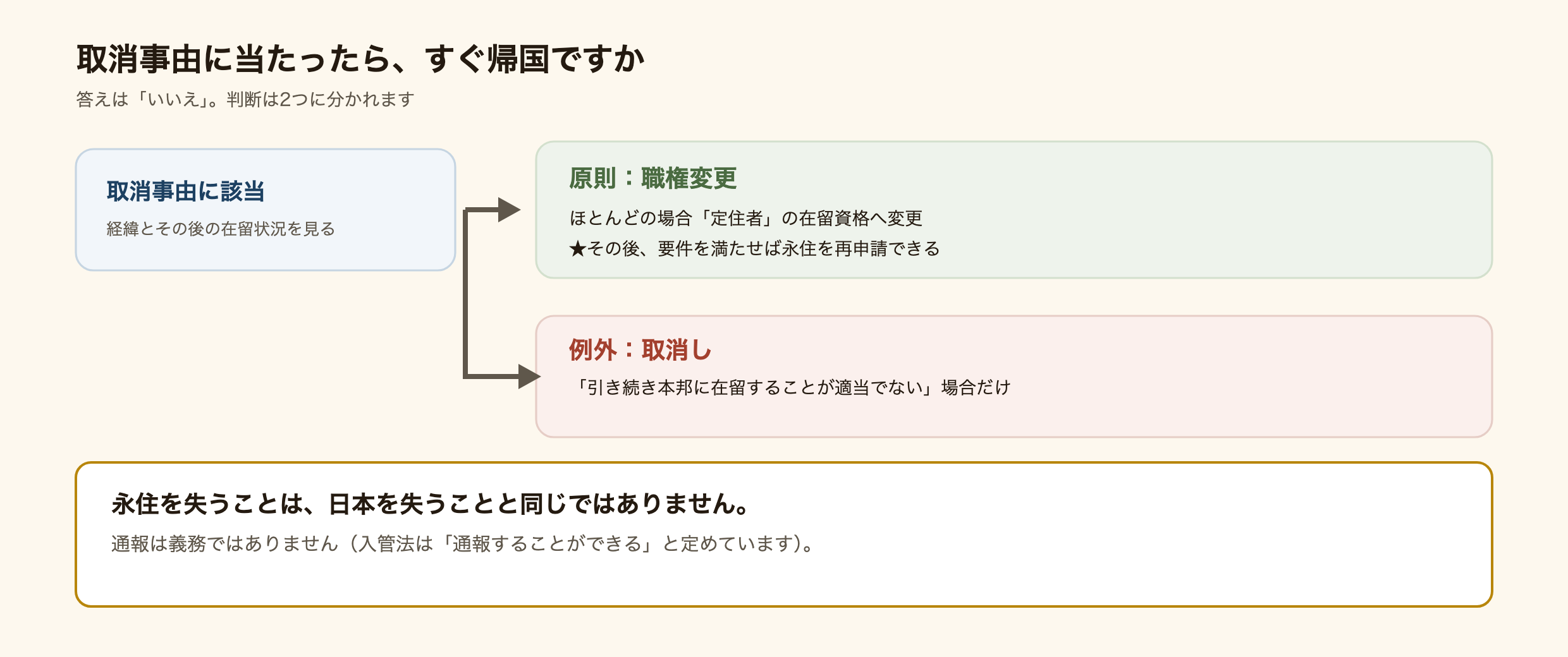 取消事由に該当したあとの判断の流れを示した図解。取消事由に該当すると、まず経緯とその後の在留状況が見られる。原則は職権変更で、ほとんどの場合は定住者の在留資格へ変更され、その後に要件を満たせば永住を再申請できる。例外として取消しになるのは、引き続き本邦に在留することが適当でないと認められる場合だけ。通報は義務ではなく、入管法は通報することができると定めている。