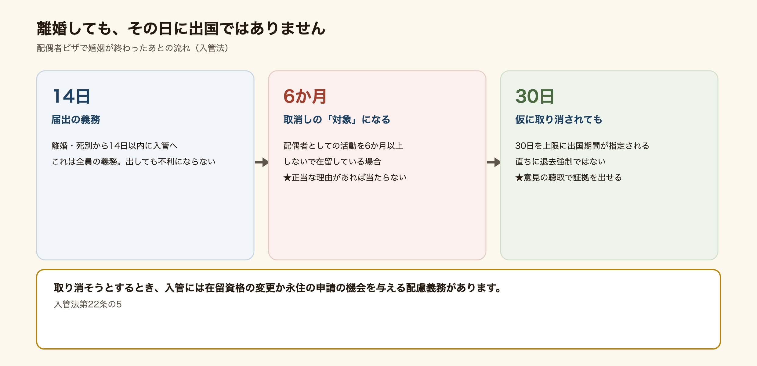 配偶者ビザで離婚したあとの流れを示した図解。離婚や死別から14日以内に届出の義務がある。配偶者としての活動を6か月以上していないと在留資格取消しの対象になるが、正当な理由があれば取り消されない。取り消そうとするときは在留資格の変更か永住許可の申請の機会を与えるよう配慮する義務が入管にあり、仮に取り消されても30日を上限に出国のための期間が指定される。
