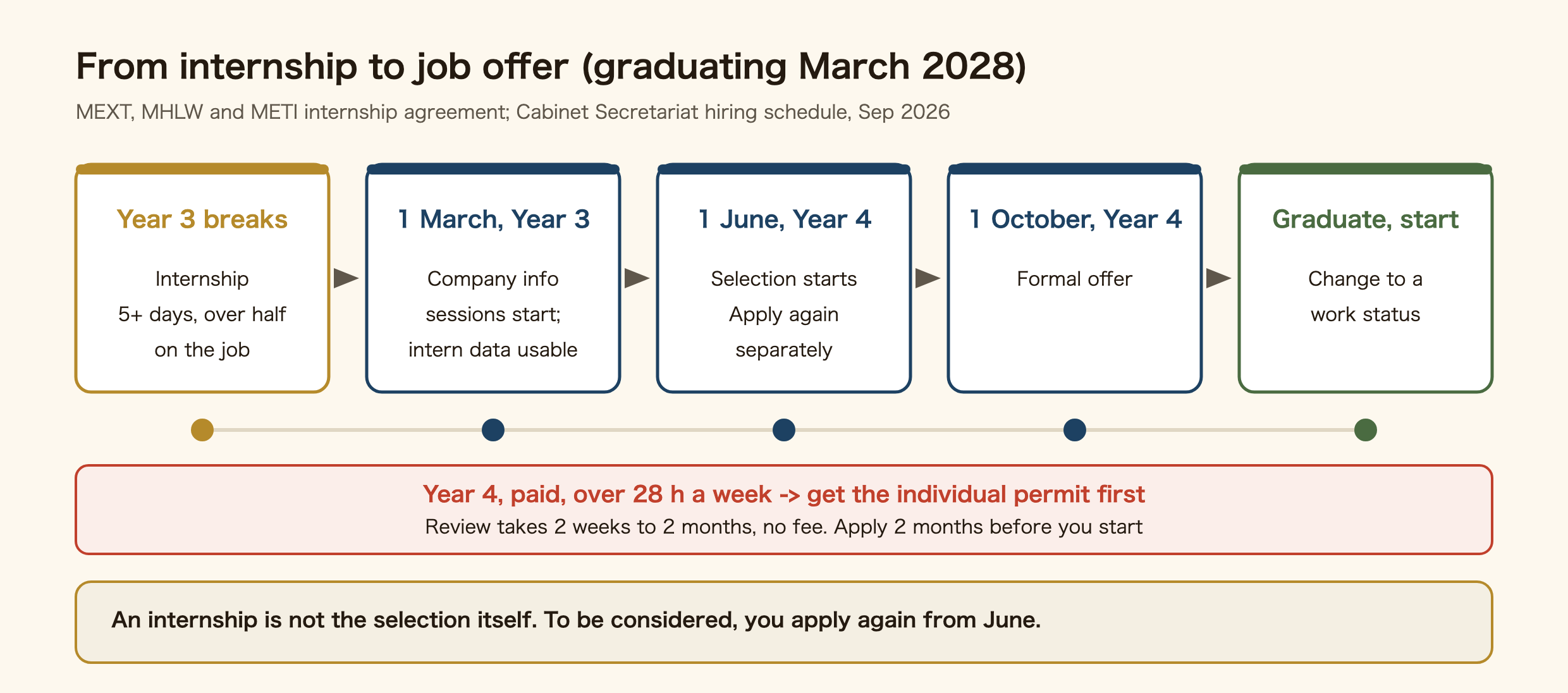 Timeline from internship to job offer for university students graduating in March 2028. During the long breaks of year 3, do an internship of five or more days with over half spent on the job. From 1 March of year 3, companies' information sessions start and they may use what they learned about you at the internship. From 1 June of year 4, selection starts and you apply again separately. From 1 October of year 4, formal offers. On graduating, change to a work status. A paid internship over 28 hours a week in year 4 needs the individual permit first; review takes two weeks to two months with no fee, so apply two months before you start. An internship is not the selection itself; to be considered, apply again from June.