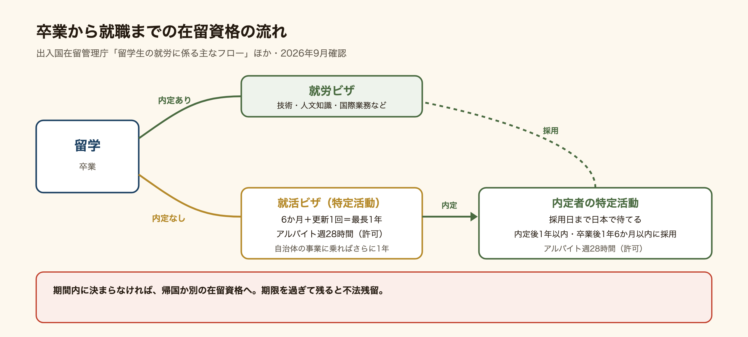 留学生の卒業から就職までの在留資格の流れの図。卒業までに内定があれば、留学から技術・人文知識・国際業務などの就労の在留資格へ変更する。内定が無ければ、卒業後の就活ビザ(特定活動・6か月、1回更新で最長1年)に変更し、週28時間までアルバイトができる。自治体の就職支援事業の対象ならさらに1年。内定が出て採用日までに間があれば、内定者のための特定活動に変更し、内定後1年以内かつ卒業後1年6か月以内に採用されることが条件。どれにも当たらず期間が終われば帰国するか別の在留資格に変える。